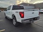 New 2024 Ford F-150 XLT SuperCrew Cab 4WD, Pickup for sale #NTF71407 - photo 7