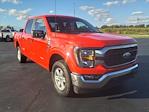 Used 2023 Ford F-150 XLT SuperCrew Cab 4WD, Pickup for sale #PTD12562 - photo 2