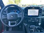 New 2024 Ford F-150 XLT SuperCrew Cab 4x4, Pickup for sale #240751 - photo 16