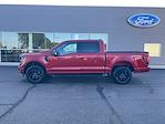 New 2024 Ford F-150 XLT SuperCrew Cab 4x4, Pickup for sale #240751 - photo 9