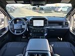 New 2024 Ford F-150 STX SuperCrew Cab 4x4, Pickup for sale #240779 - photo 28