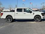 New 2024 Ford F-150 STX SuperCrew Cab 4x4, Pickup for sale #240779 - photo 33