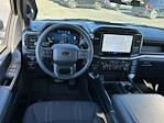 New 2024 Ford F-150 STX SuperCrew Cab 4x4, Pickup for sale #240779 - photo 6