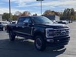 New 2024 Ford F-250 Platinum Crew Cab 4x4, Pickup for sale #240796 - photo 4