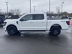 New 2024 Ford F-150 XLT SuperCrew Cab 4x4, Pickup for sale #240835 - photo 8