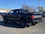 2024 Ford F-150 SuperCrew Cab 4x4, Pickup for sale #241148 - photo 2