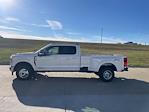 New 2024 Ford F-350 King Ranch Crew Cab 4x4, Pickup for sale #62765 - photo 6