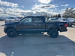 New 2024 Ford F-150 XLT SuperCrew Cab 4x4, Pickup for sale #62801 - photo 6