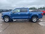 New 2024 Ford F-150 XLT SuperCrew Cab 4x4, Pickup for sale #62819 - photo 6