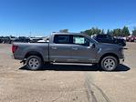 New 2024 Ford F-150 XLT SuperCrew Cab 4x4, Pickup for sale #62831 - photo 3