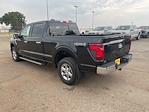 New 2024 Ford F-150 XLT SuperCrew Cab 4x4, Pickup for sale #62914 - photo 5