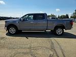 New 2024 Ford F-150 XLT SuperCrew Cab 4x4, Pickup for sale #62915 - photo 7