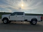 New 2024 Ford F-350 XLT Crew Cab 4x4, Pickup for sale #62951 - photo 7