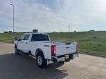 New 2024 Ford F-350 XLT Crew Cab 4x4, Pickup for sale #62954 - photo 5