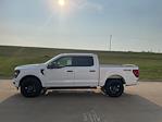 New 2024 Ford F-150 STX SuperCrew Cab 4x4, Pickup for sale #63069 - photo 6