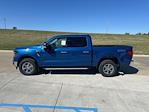 New 2024 Ford F-150 XLT SuperCrew Cab 4x4, Pickup for sale #63070 - photo 6