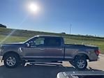 New 2024 Ford F-150 XLT SuperCrew Cab 4x4, Pickup for sale #63081 - photo 6