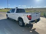 New 2024 Ford F-150 XLT SuperCrew Cab 4x4, Pickup for sale #63088 - photo 5