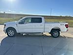 New 2024 Ford F-150 XLT SuperCrew Cab 4x4, Pickup for sale #63088 - photo 6