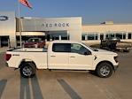 New 2024 Ford F-150 XLT SuperCrew Cab 4x4, Pickup for sale #63150 - photo 3