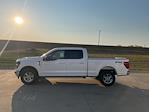 New 2024 Ford F-150 XLT SuperCrew Cab 4x4, Pickup for sale #63150 - photo 6