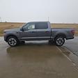 New 2024 Ford F-150 STX SuperCrew Cab 4x4, Pickup for sale #63207 - photo 6