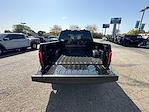 New 2024 Ford F-150 STX SuperCrew Cab 4WD, Pickup for sale #9452 - photo 24