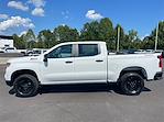 2024 Chevrolet Silverado 1500 Crew Cab 4x4, Pickup for sale #C00353 - photo 3