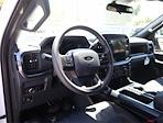 New 2024 Ford F-150 STX SuperCrew Cab 4x2, Pickup for sale #F124508 - photo 22