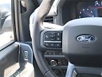 New 2024 Ford F-150 XLT SuperCrew Cab 4x4, Pickup for sale #F124536 - photo 9