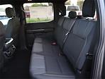 New 2024 Ford F-150 STX SuperCrew Cab 4x2, Pickup for sale #F124612 - photo 18