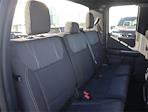 New 2024 Ford F-150 STX Super Cab 4x2, Pickup for sale #F124642 - photo 12