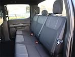 New 2024 Ford F-150 STX SuperCrew Cab 4x2, Pickup for sale #F124872 - photo 17