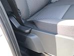 New 2024 Ford Transit 250 Base Medium Roof RWD, Empty Cargo Van for sale #TR24666 - photo 14