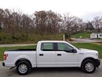 Used 2019 Ford F-150 XL SuperCrew Cab 4x2, Pickup for sale #1FTEW1CB2KKD29670 - photo 7