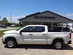 Used 2019 Chevrolet Silverado 1500 Work Truck Crew Cab 4x4, Pickup for sale #3GCUYAEF5KG166221 - photo 3