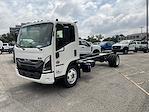 New 2025 Isuzu NRR Regular Cab 4x2, Cab Chassis for sale #1779504 - photo 3