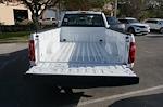 2024 Ford F-150 Regular Cab 4x2, Pickup for sale #91060 - photo 31