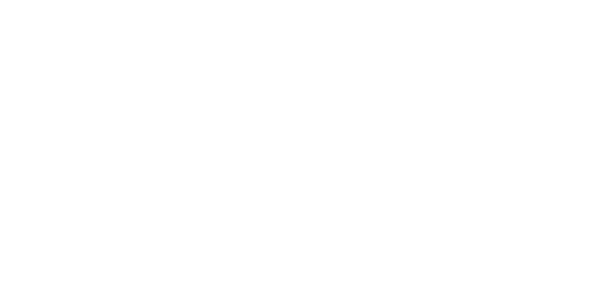 Dale Earnhardt Jr Tallahassee Buick GMC Logo