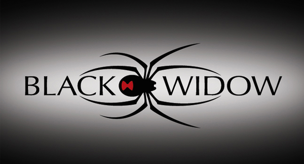 Black Widow Bedliners & Accessories logo