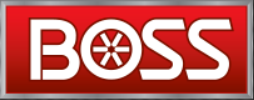 BOSS logo image